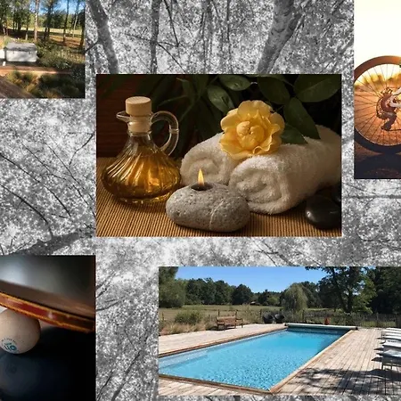 Lou Castet De Lussolle - D'hotes לינה וארוחת בוקר 4*