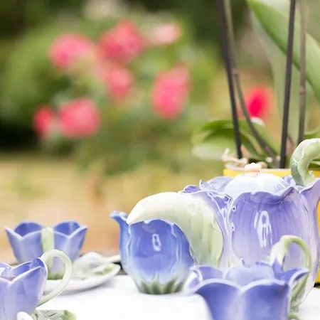 Lou Castet De Lussolle - D'hotes לינה וארוחת בוקר 4*