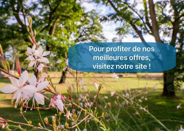 فندق مبيت وإفطار Lou Castet De Lussolle - D'hotes 4*