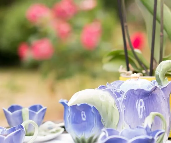 Lou Castet De Lussolle - D'hotes فندق مبيت وإفطار 4*